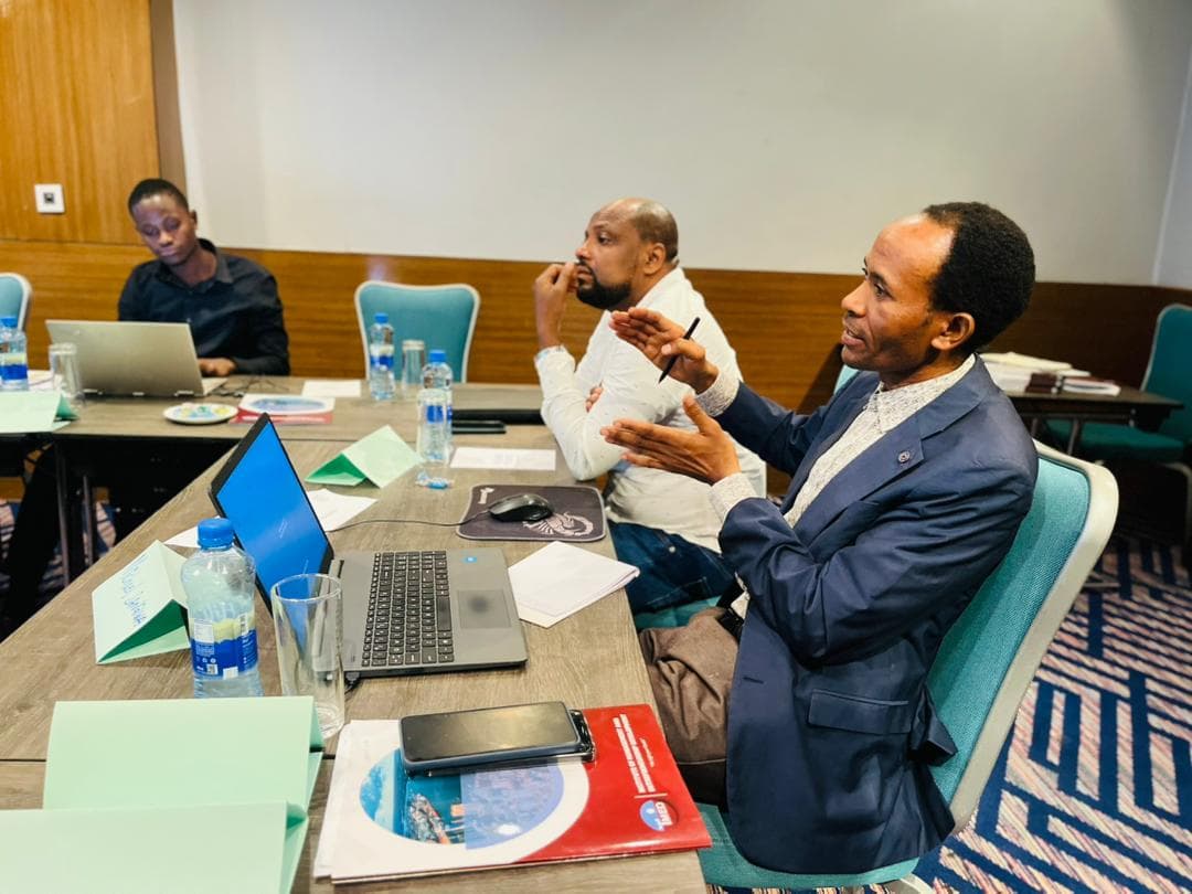 IMED consultants working with partners during a facilitated session